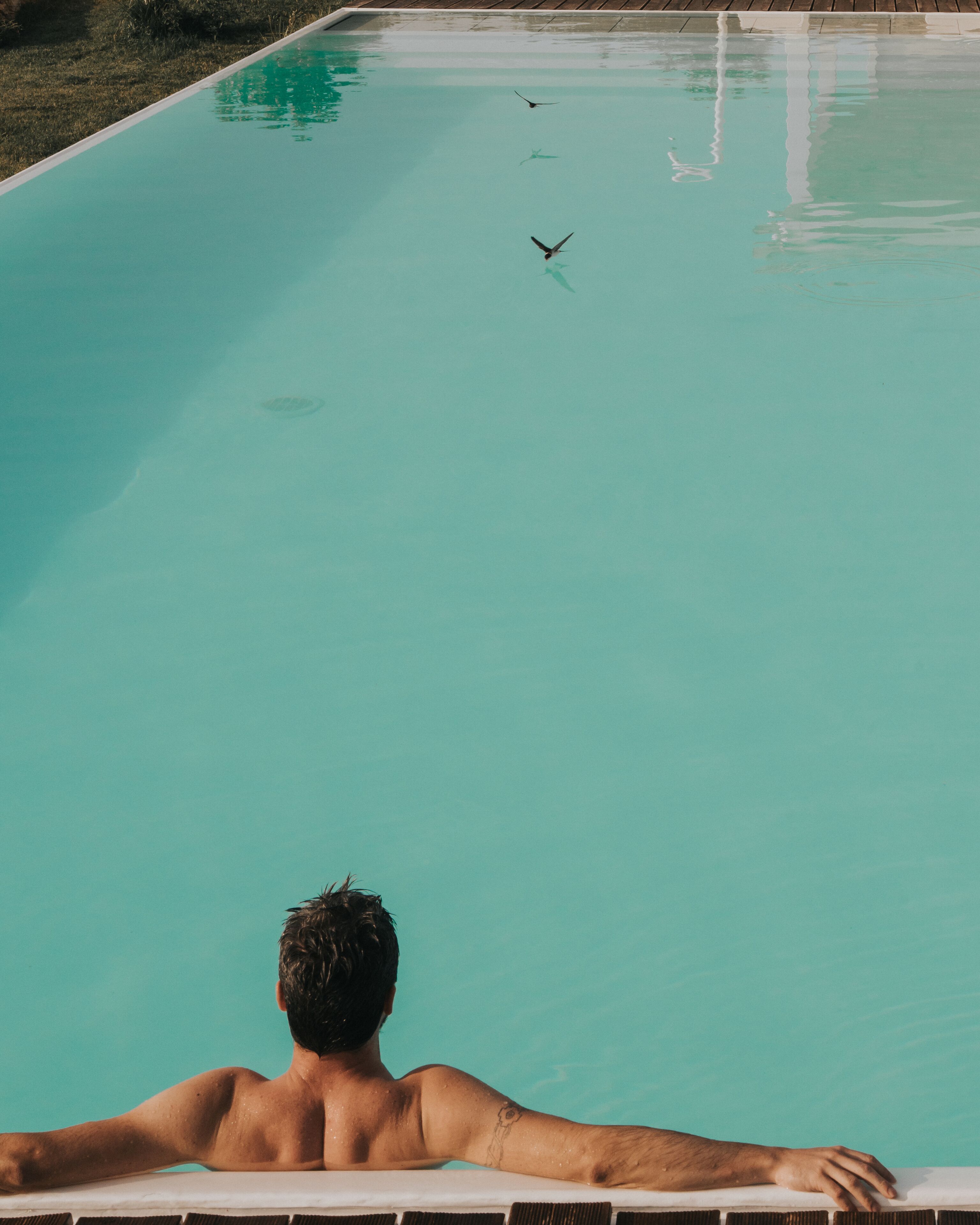Eine Person entspannt sich in einem Swimmingpool mit klarem Wasser, während zwei Vögel darüber fliegen.