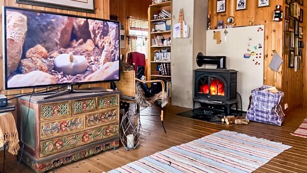 A cozy living room with a television, a decorative cabinet, a pet bed, a bookshelf, a fireplace, and a patterned rug.