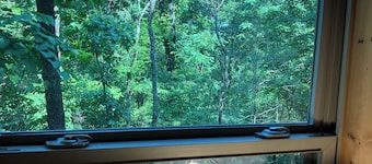 New Romantic Secluded Cabin for two in  beautiful Mammoth Spring Arkansas!!
