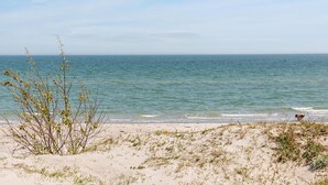 Una playa con vista despejada al océano y un primer plano arenoso con vegetación escasa.