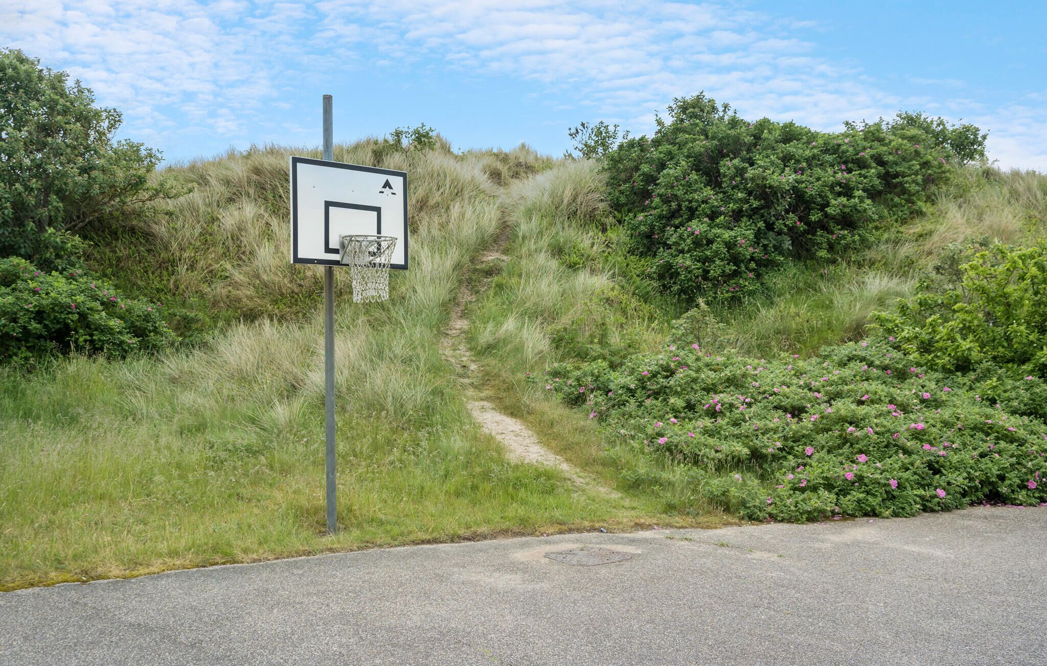 Un aro de baloncesto con red, al lado de una carretera con un sendero de hierba que sube cuesta arriba.