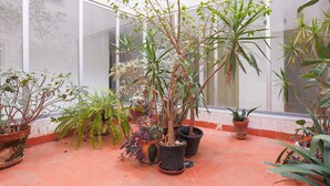 Una veranda con diverse piante in vaso e un pavimento piastrellato.