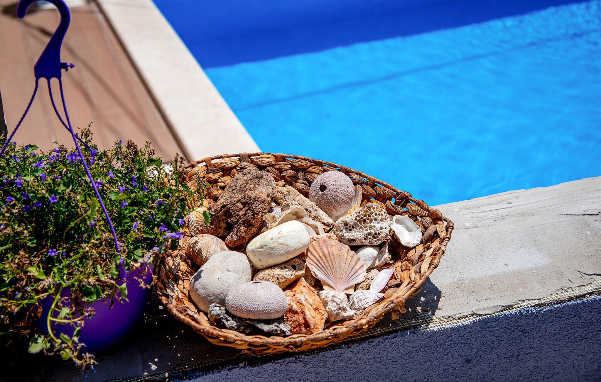 A wicker basket filled with seashells and pebbles by a poolside.