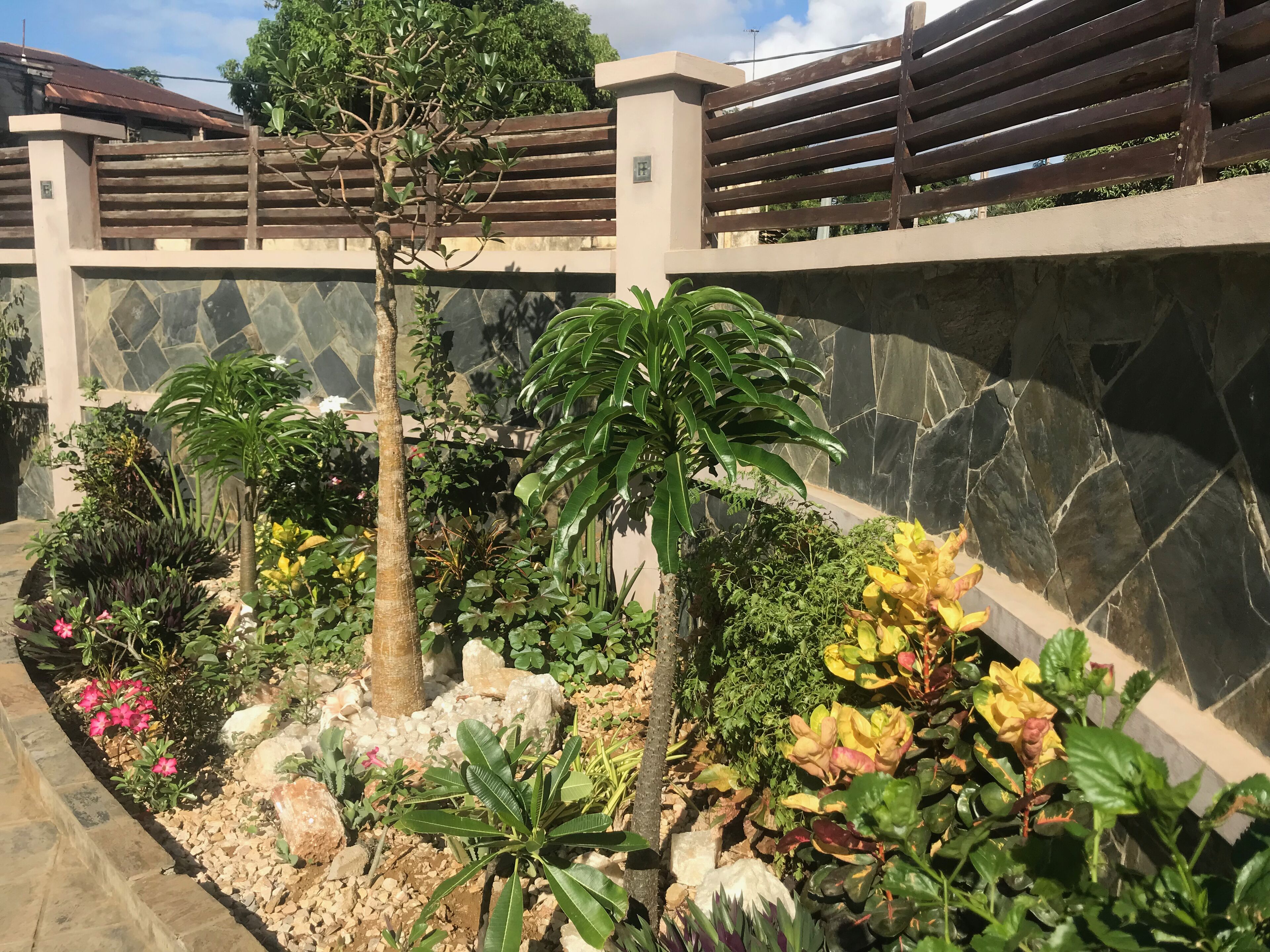 Jardin