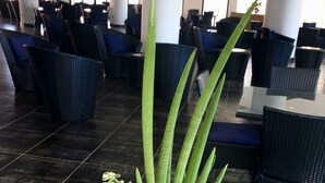 A lobby with a green plant in a bowl, dark tiled flooring, and rows of blue chairs. - Hotel de la Poste (Antsiranana)