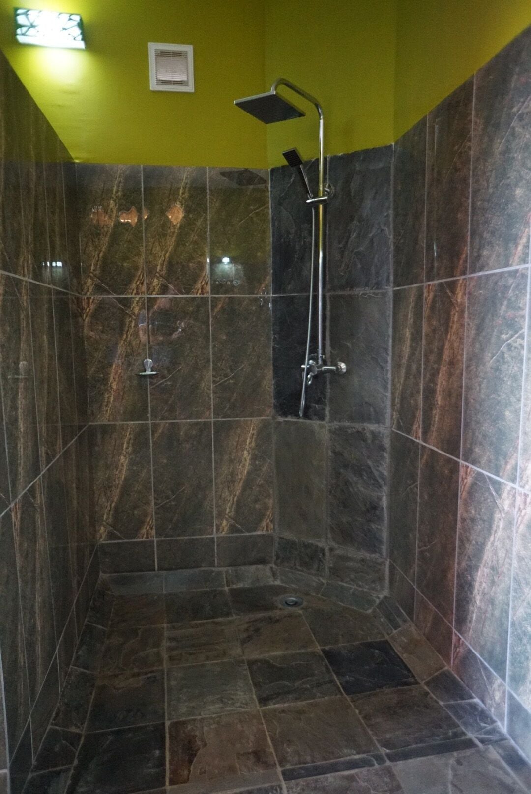 Een douche met een handdouche en een kraan op de muur.