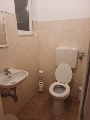 Secadora de cabello, toallas, jabón, shampoo