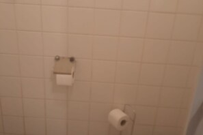 Douche, séchoir à cheveux, serviettes fournies, savon