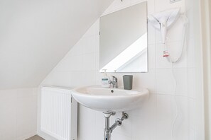 Shower, hair dryer