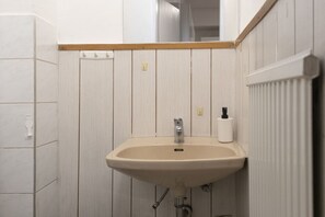 Shower, hair dryer, shampoo, toilet paper