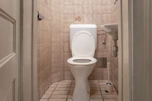 Shower, hair dryer, shampoo