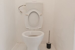 Shower, hair dryer, shampoo, toilet paper