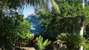A lush garden with a thatched-roof structure, palm trees, and a stone wall.