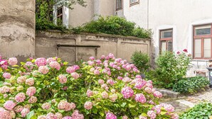 A building with a garden of pink hydrangeas, a concrete wall, and windows with shutters.
