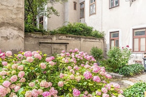 Exterior detail - Stunning 1BR Apt. near AKH Building for Everyone (Wien)