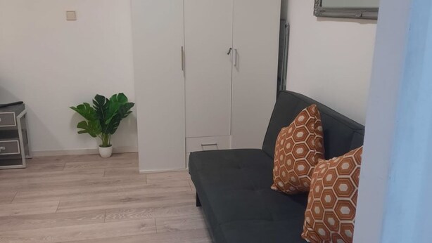 Een kamer met een zwarte bank, decoratieve kussens, een kamerplant, een kledingkast en een kleine tafel.