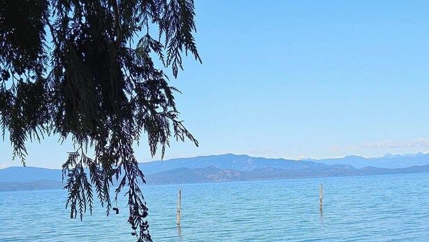 A lakeside view with a driftwood log in the foreground, pebbles on the shore, and mountains in the background.