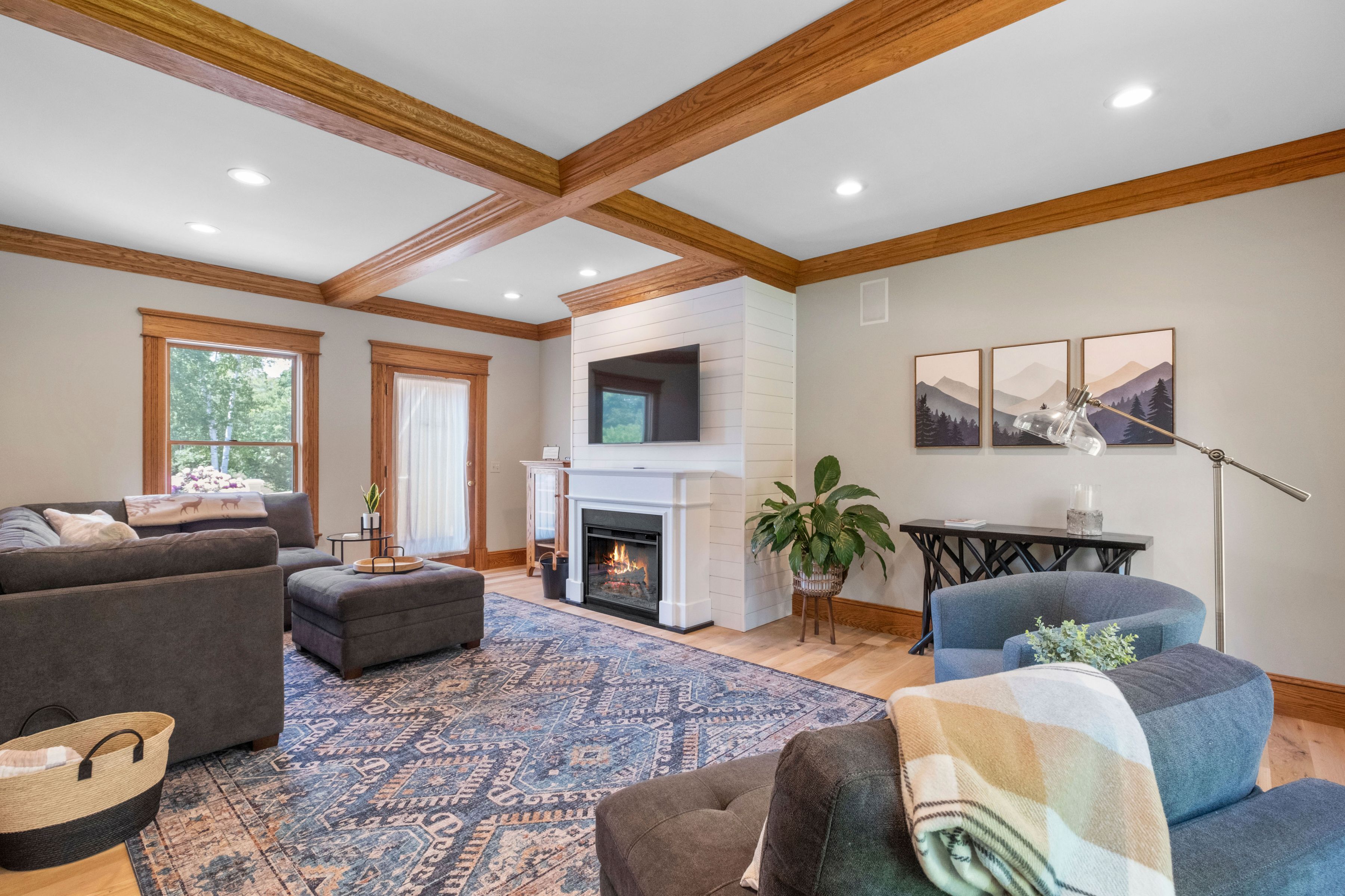 Smart TV, fireplace, books, stereo