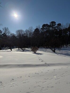 Miscellaneous - Small cabin right on the lake !  (Dardanelle)