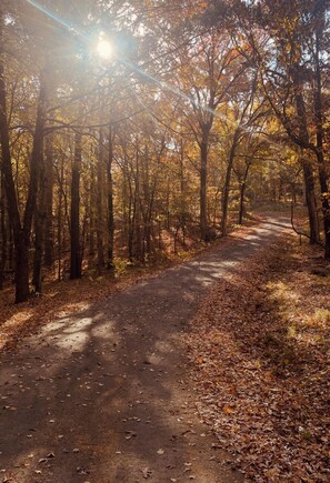 Miscellaneous - Small cabin right on the lake !  (Dardanelle)