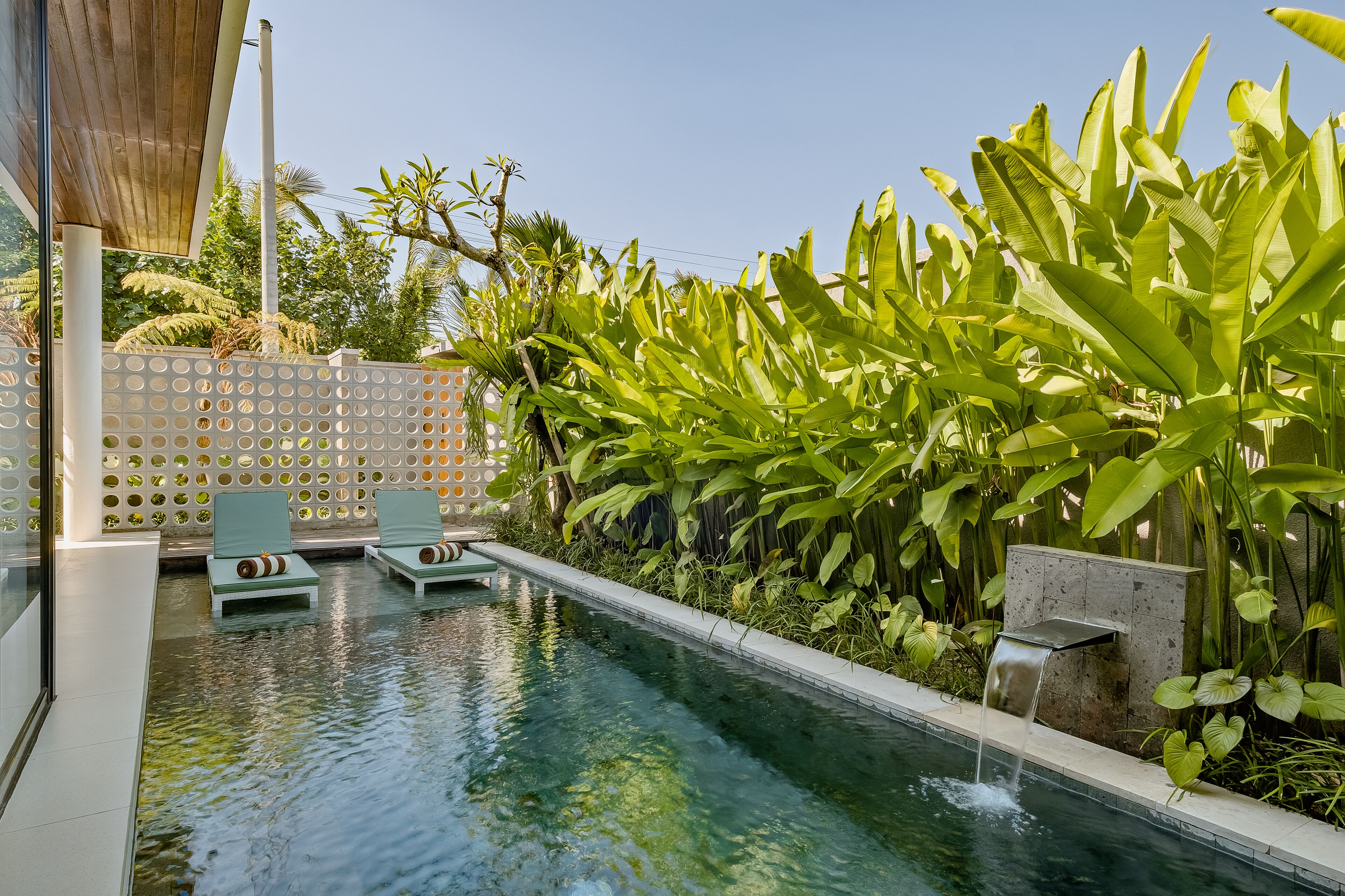Outdoor pool, sun loungers