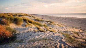 Une plage avec des dunes de sable et un ciel dégagé.