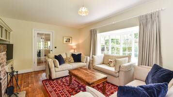 Smart TV, fireplace, books