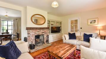 Smart TV, fireplace, books