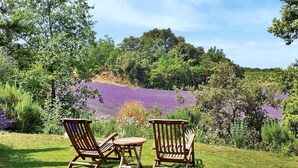 Twee houten stoelen en een kleine tafel staan op een gazon met uitzicht op een paars veld en bomen in de verte.