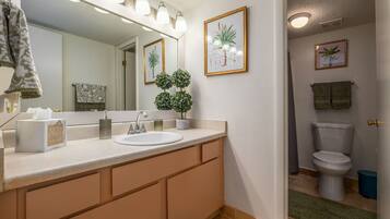 Hair dryer, towels, soap, shampoo