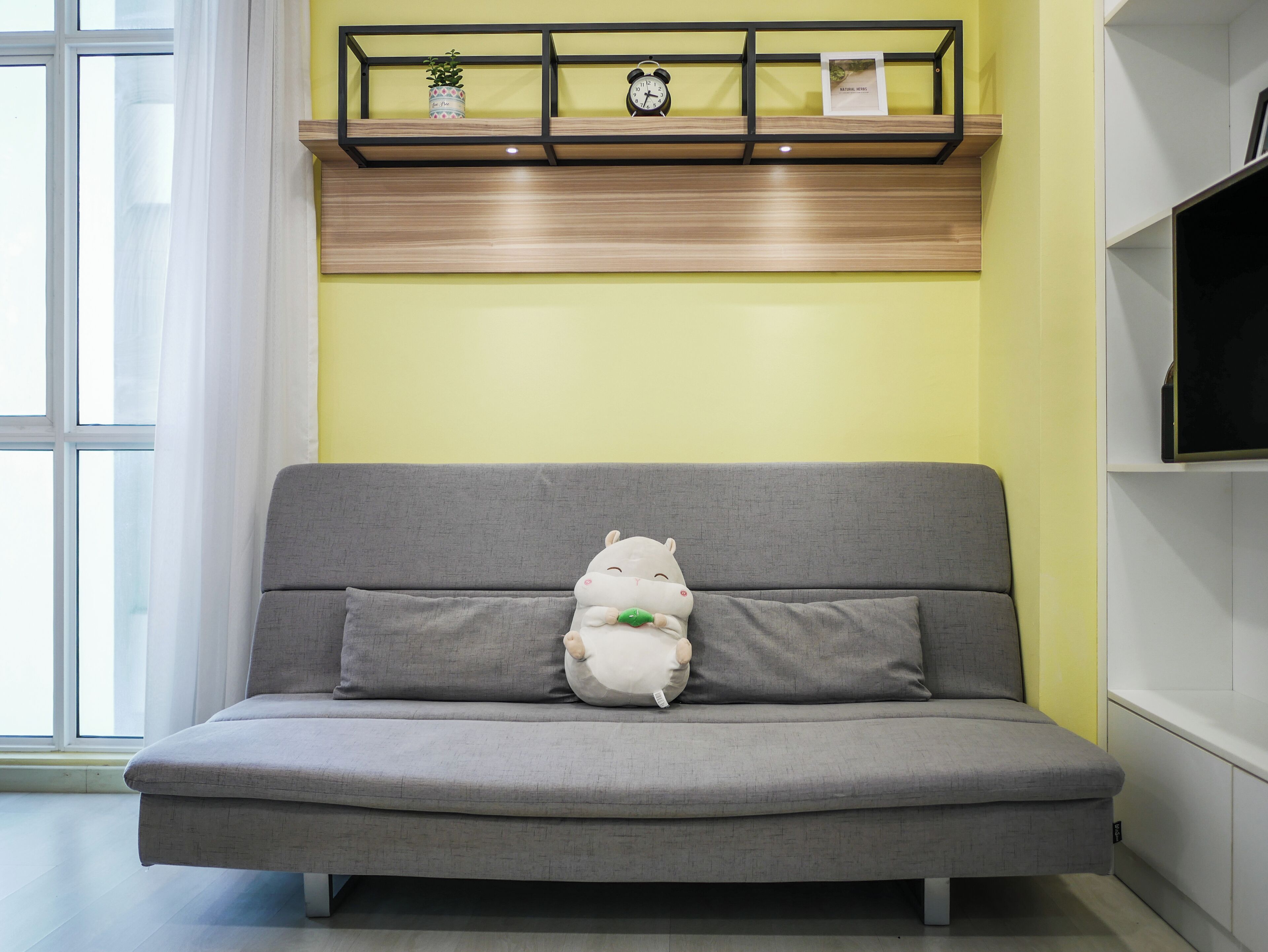Ein graues Sofa mit einem weißen Plüschtier davor, ein Regal mit einer Uhr und einer kleinen Pflanze, und eine gelbe Wand.