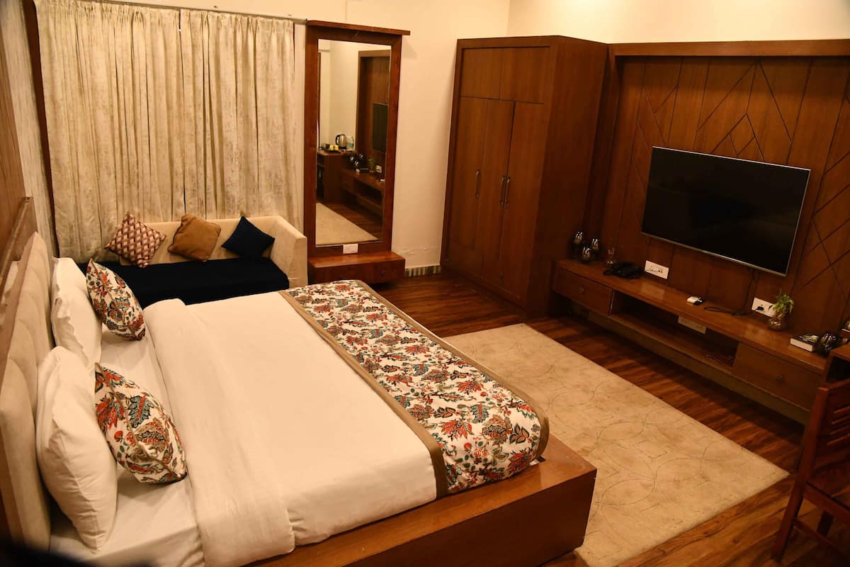A bedroom with a bed, a TV, a wardrobe, and a mirror.