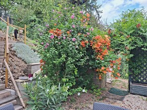 Stroll through the serene garden, surrounded by vibrant flowers and a charming wooden staircase.