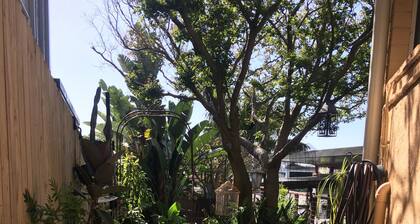 Eclectic room, private space, quiet nature spot near famous surf beaches & City