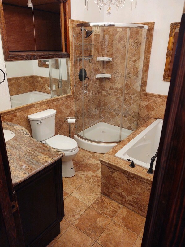 Hair dryer, towels, soap, toilet paper
