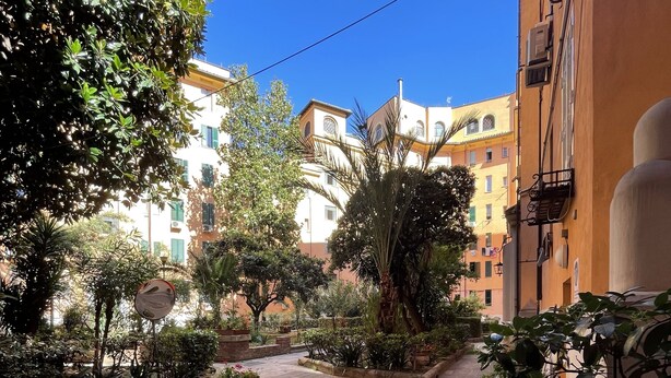 Un patio con suelo de baldosas, plantas en macetas y un cielo azul despejado.