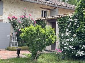 Exterior - Luxury holidays in Gascony (Bardigues)