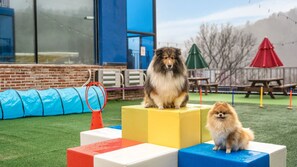 Exterior - Gapyeong Mountain Dog Pool Villa (Gapyeong)