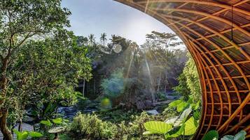 Moon House - One Bedroom Private Pool River View | View from room