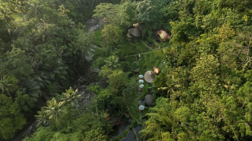 An aerial view of a lush, green landscape with several thatched-roof huts scattered among dense vegetation.