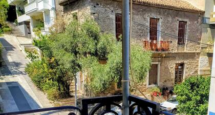 Acropolis Masterpiece Neoclassical Two-Story Mansion