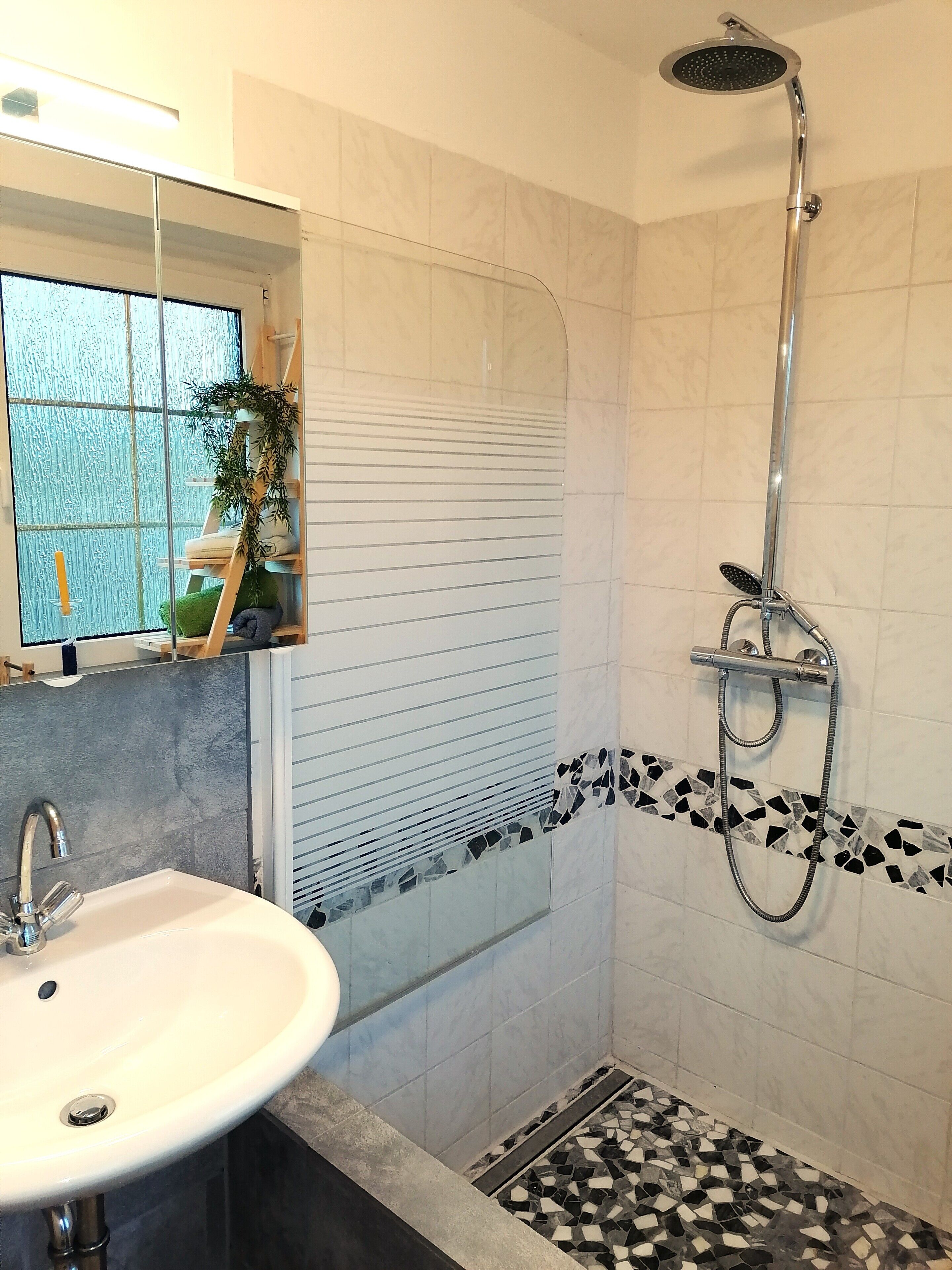 Shower, towels, soap, toilet paper