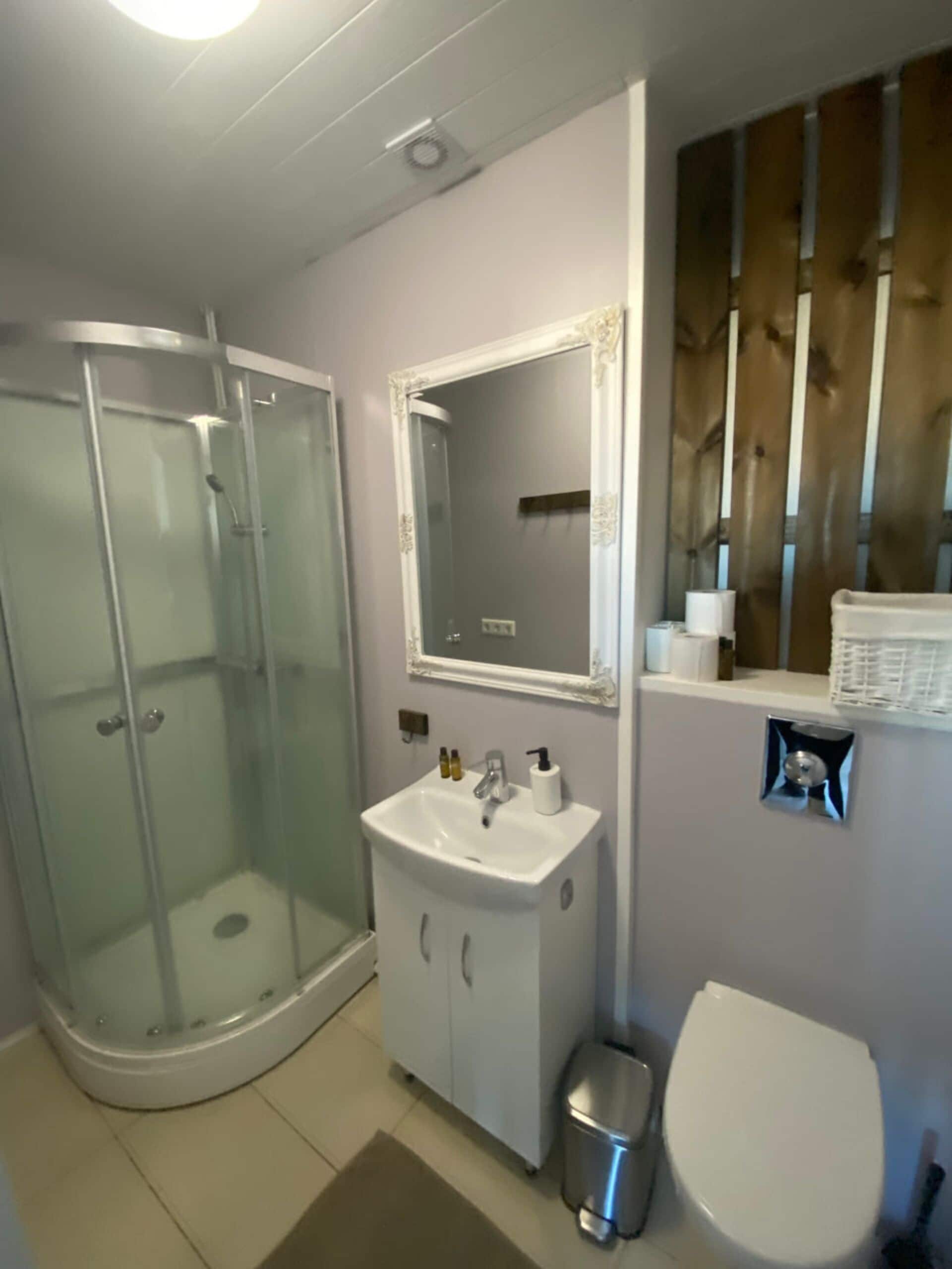 Une salle de bain avec une douche à parois de verre, un lavabo blanc avec un miroir au-dessus et des toilettes.
