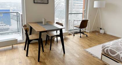 Spacious Work-focused Apartments in Prague 3