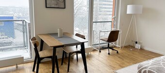 Spacious Work-focused Apartments in Prague 3