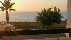 A balcony with a view of the sea and a palm tree, a white car parked outside, and a small table with a potted plant.