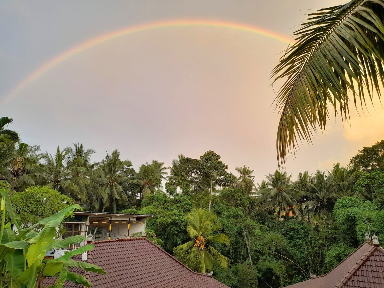 Photo - As I Am Ubud Retreat