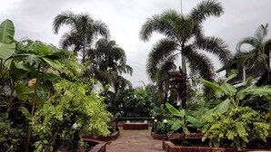 Un sendero bordeado de vegetación exuberante y palmeras, que conduce a una zona central con un banco y un farol.