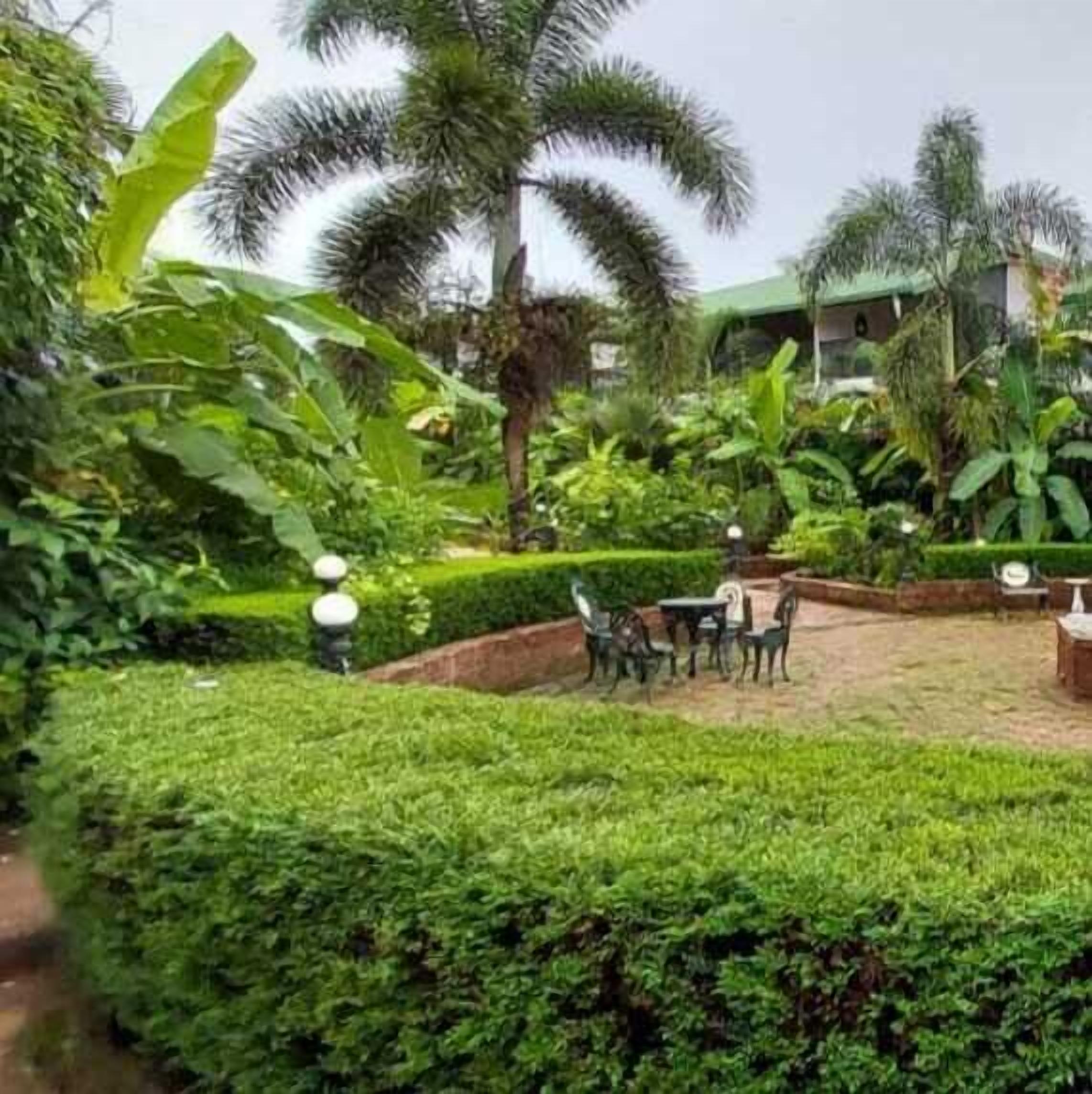 Zona de jardí amb taula i caires, envoltada de vegetació exuberant i palmeres.