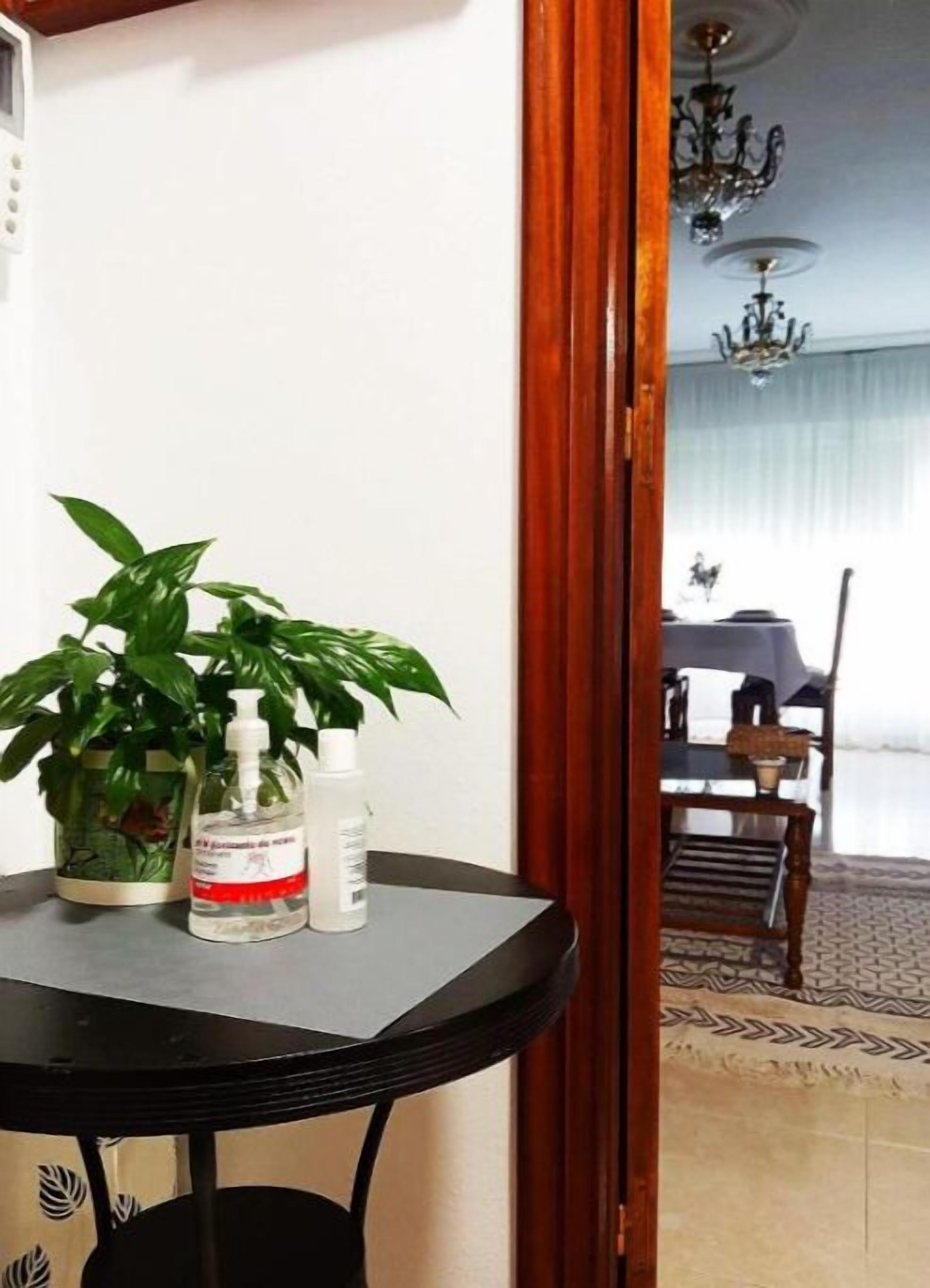 Una habitación con una pequeña mesa que sostiene una planta en maceta y dos botellas. Una puerta de madera da a un comedor con una araña.